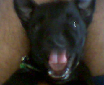 [GQT]jonhy kanuto Logo