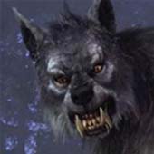 [TDSC] Shogun Jedi Master Logo