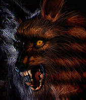 metalwolf Logo