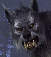 [BBD] paquetukis Logo