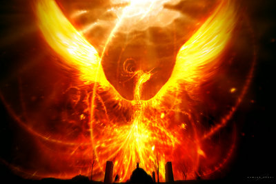 [TBLSD] The Knight Logo