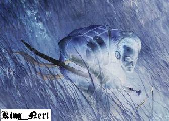 [LOGM]KING_NERI Logo