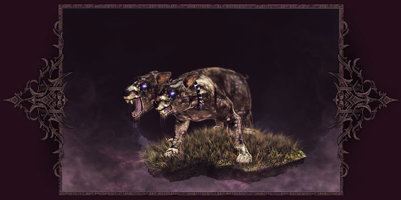 CACHORRITO ARRANCACABEZAS